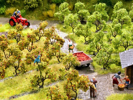 Preview: NOCH 21532 H0/TT Plantagenbäume mit Äpfeln 12 Stück 