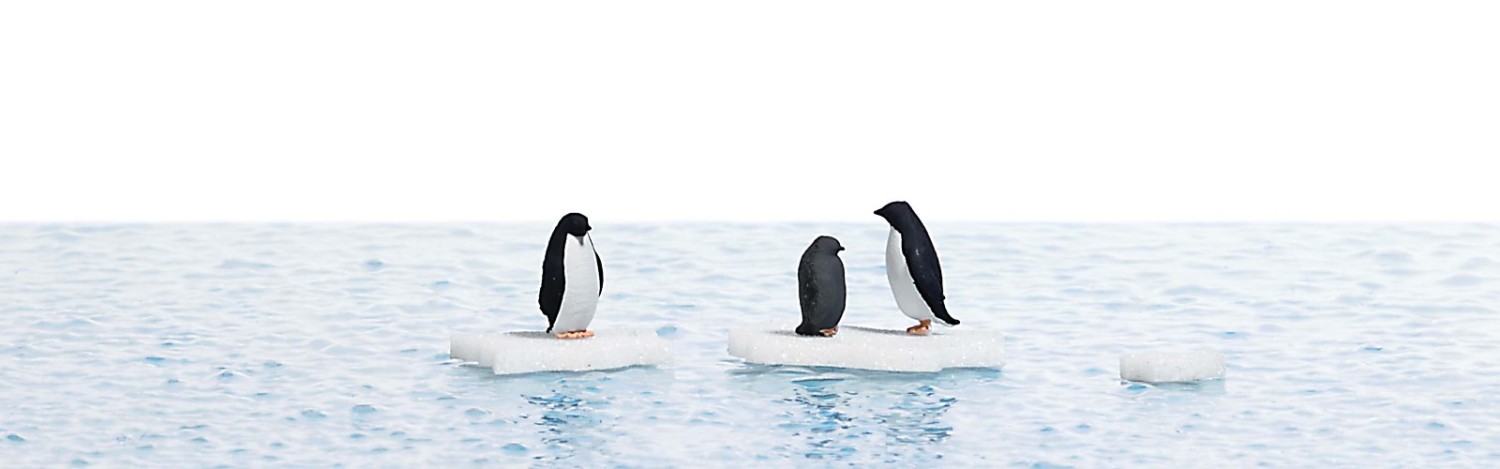 BUSCH 7923 H0 Pinguine auf Eisschollen 