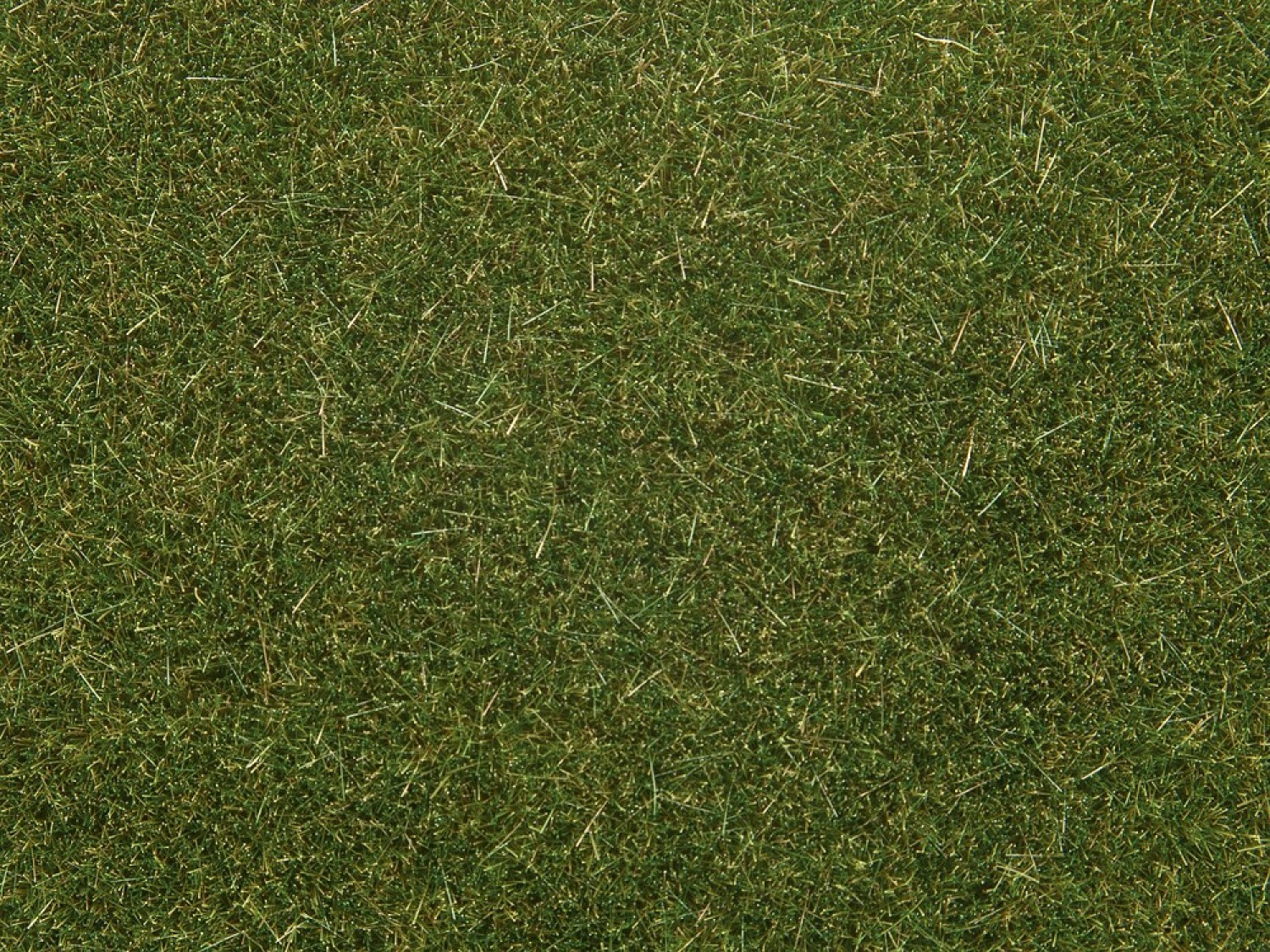 NOCH 08364 Streugras mittelgrün, 4 mm, 20g Beutel 