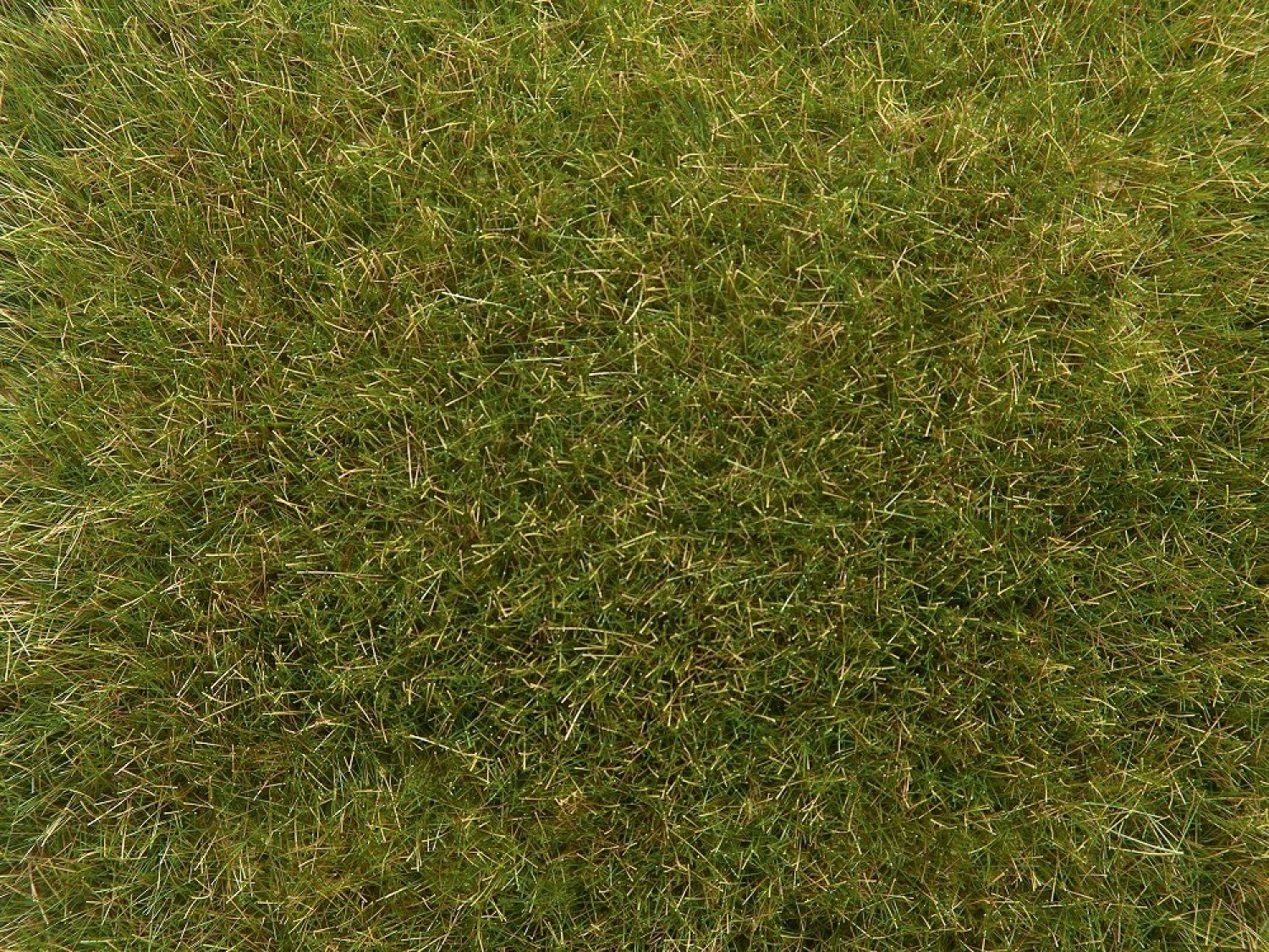 NOCH 07117 Wildgras Wiese, 9 mm, 50g Beutel 