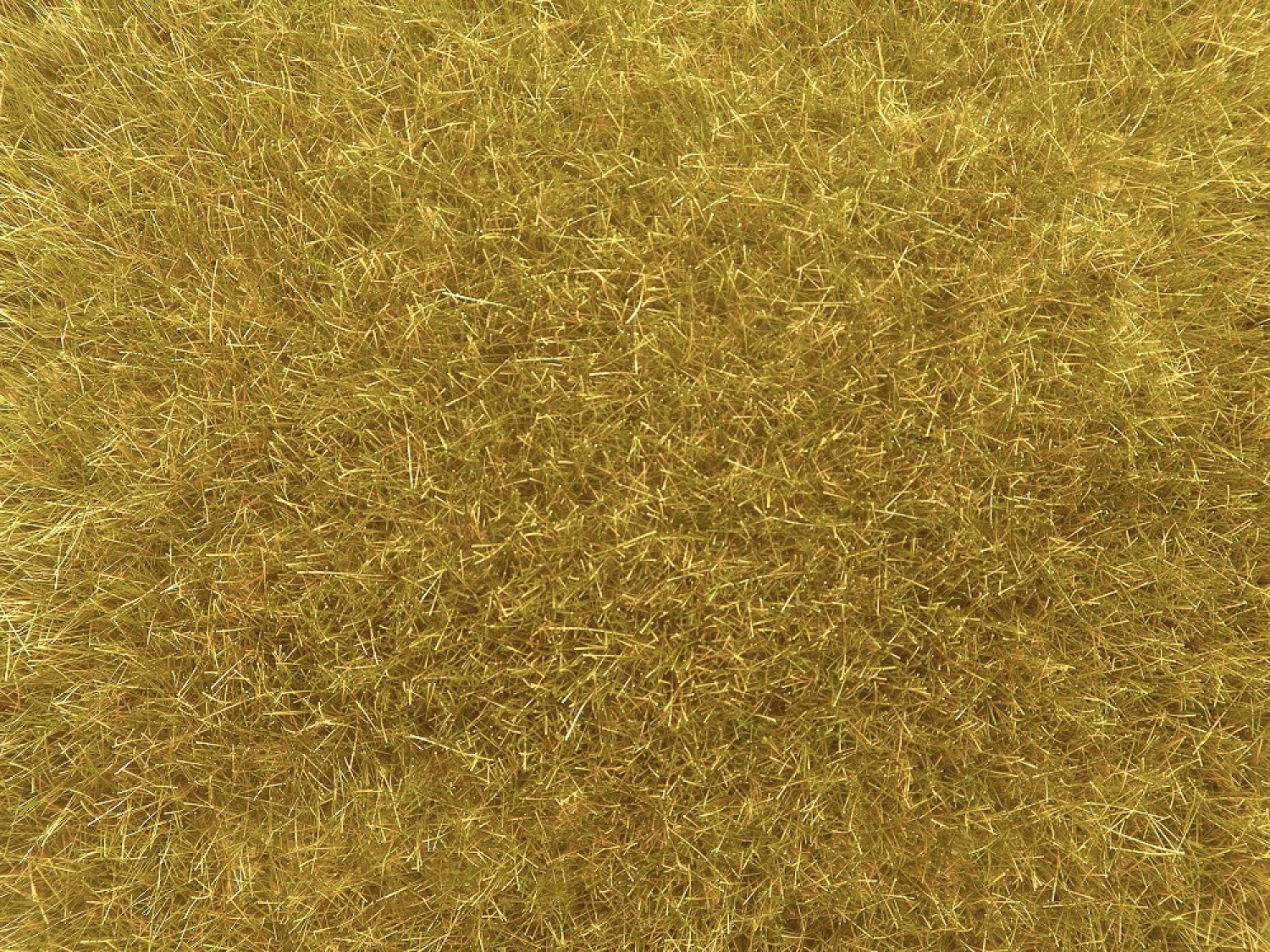 NOCH 07119 Wildgras gold-gelb, 9 mm, 50g Beutel 