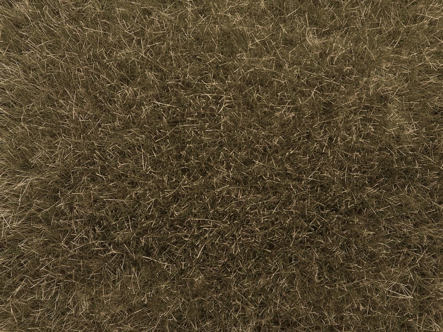 NOCH 07122 Wildgras braun, 9 mm, 50g Beutel 