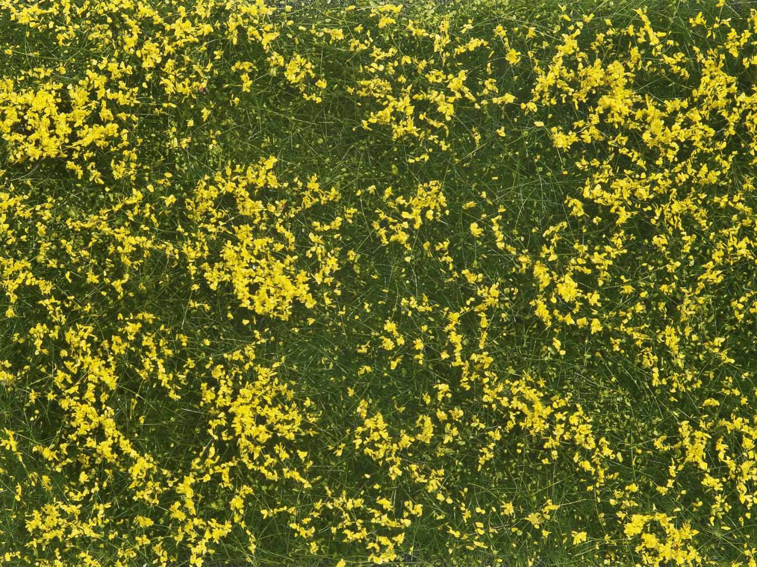 NOCH 07255 Bodendecker-Foliage Wiese gelb , 12 x 18 cm