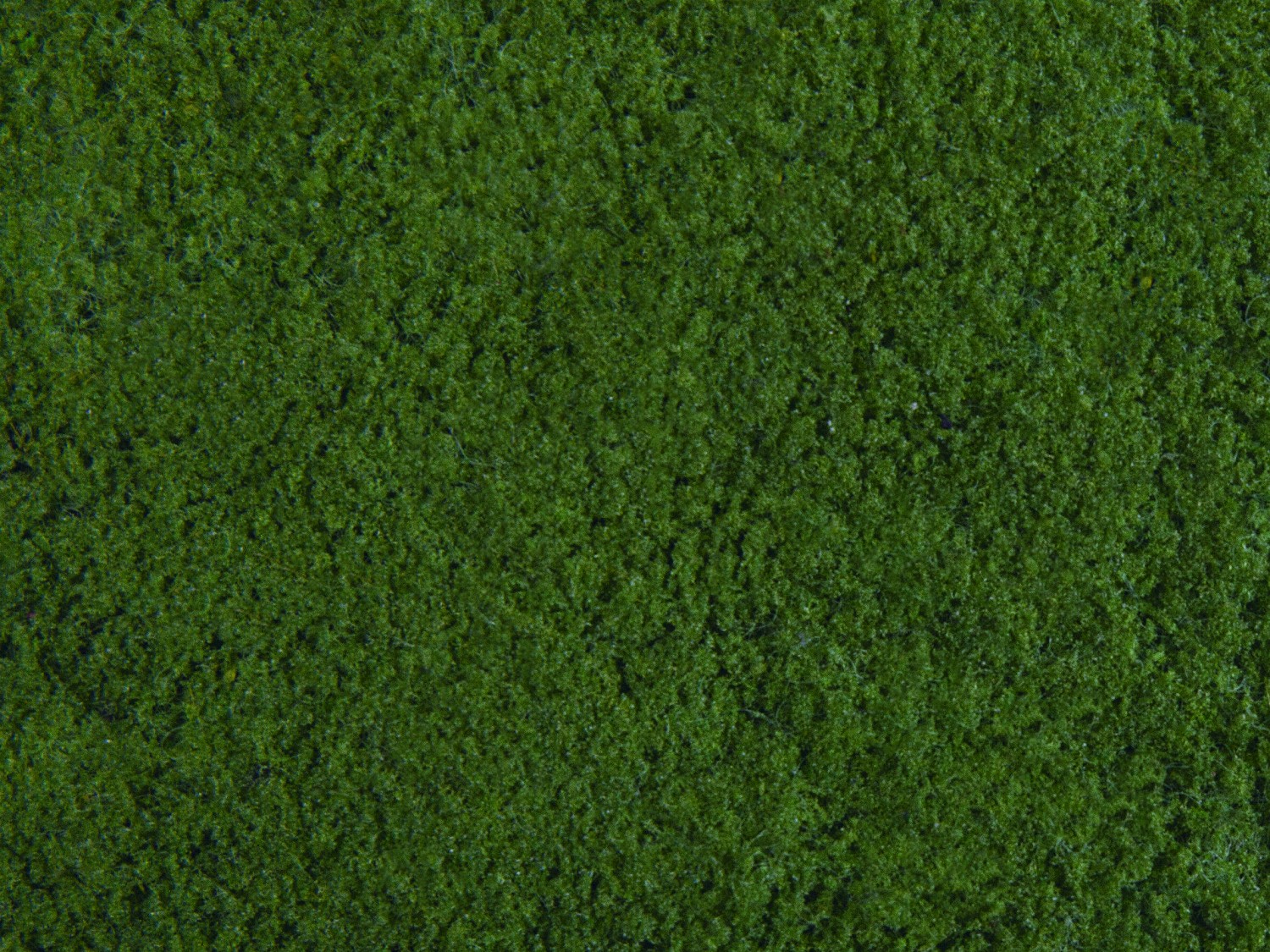 NOCH 07271 Klassische-Foliage dunkelgrün, 20 x 23 cm 