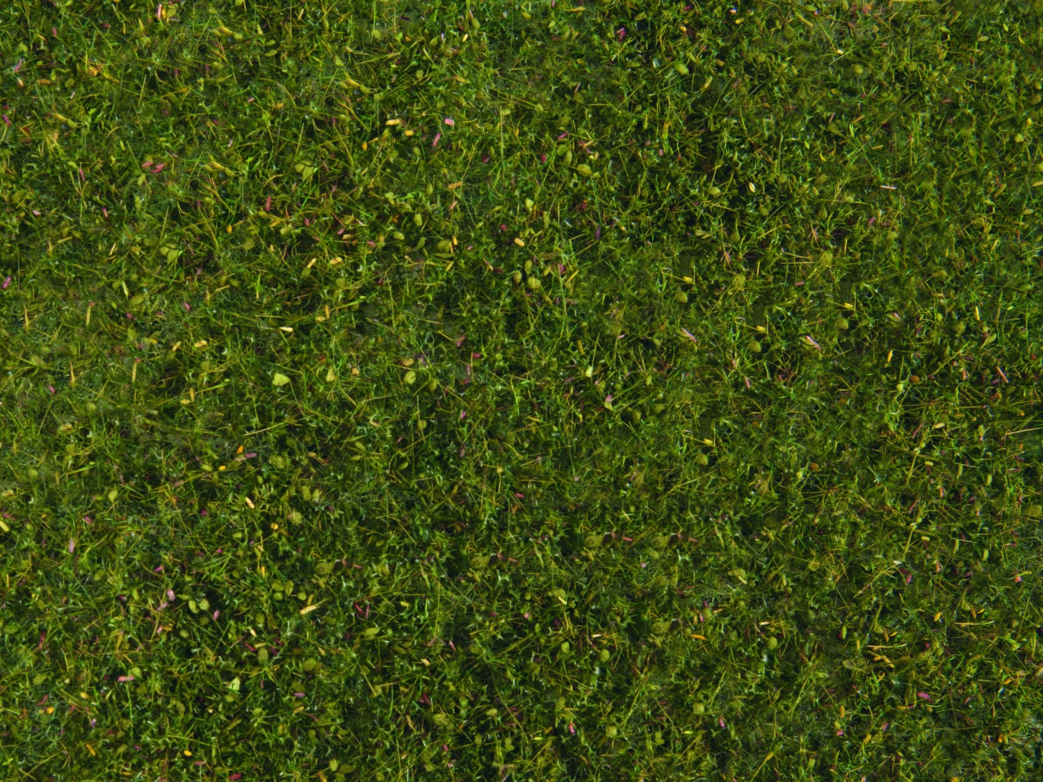 NOCH 07291 Wiesen-Foliage mittelgrün, 20 x 23 cm 