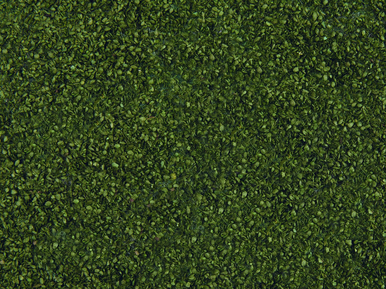 NOCH 07301 Laub-Foliage dunkelgrün, 20 x 23 cm 