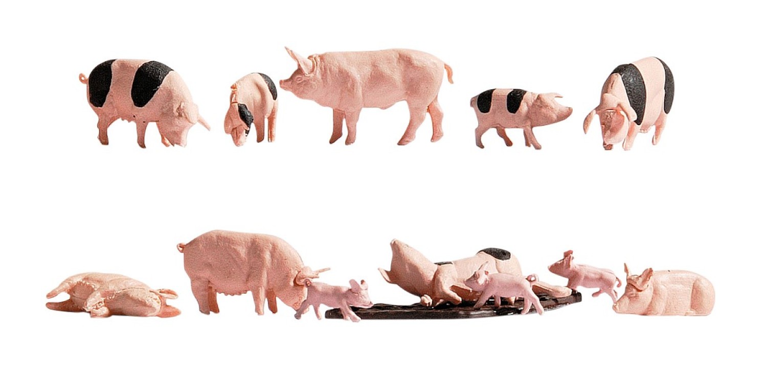 NOCH 15712 H0 Schweine 