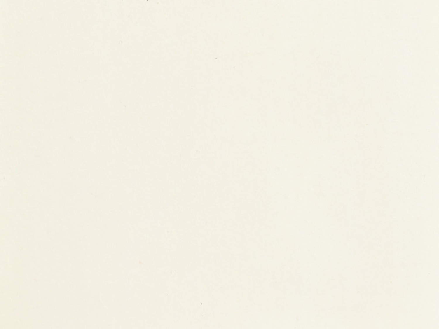 NOCH 61190 Acrylfarbe matt, weiß 90 ml 
