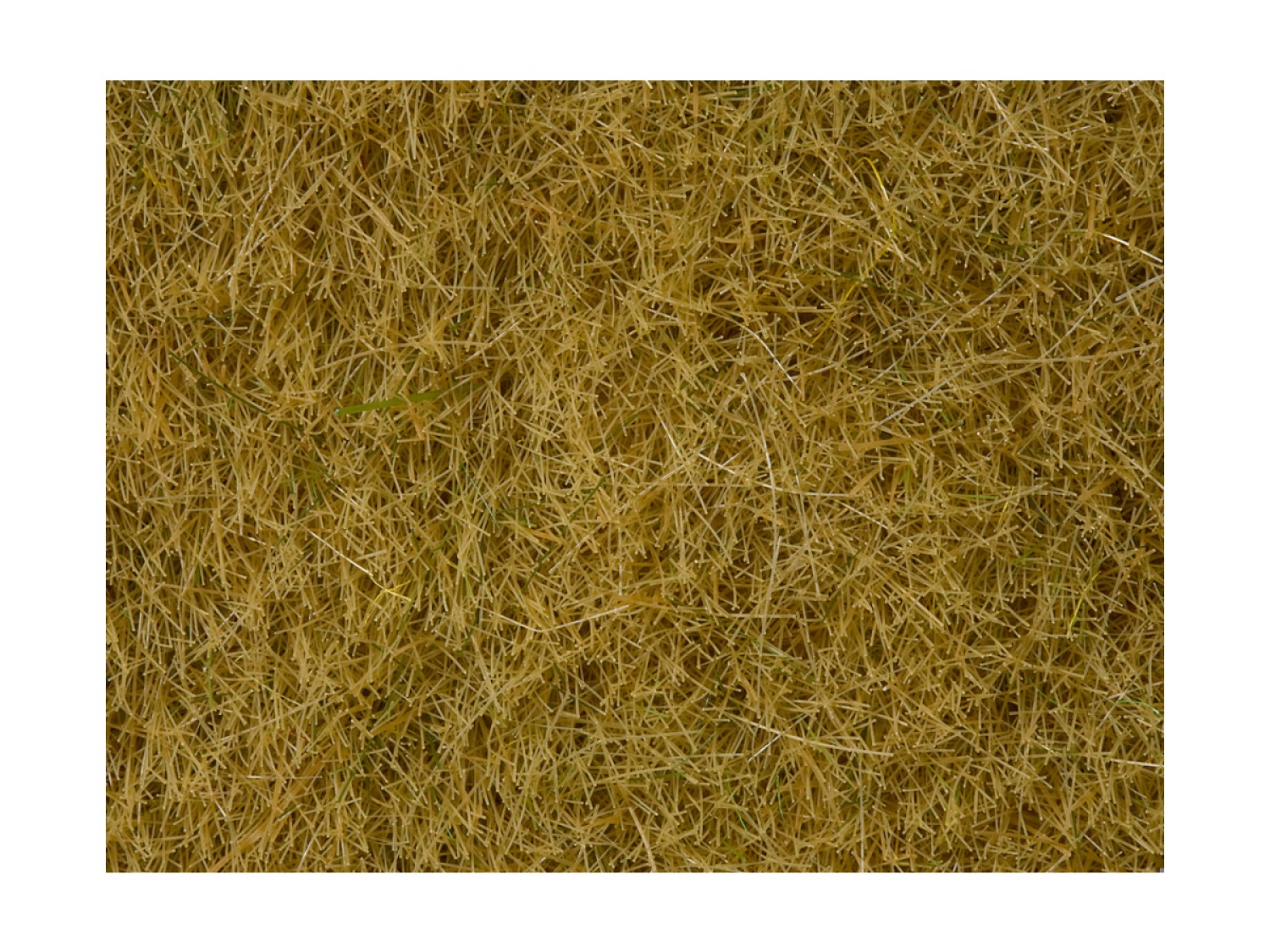 NOCH 07101 Wildgras, beige, 6 mm, 50g Beutel 