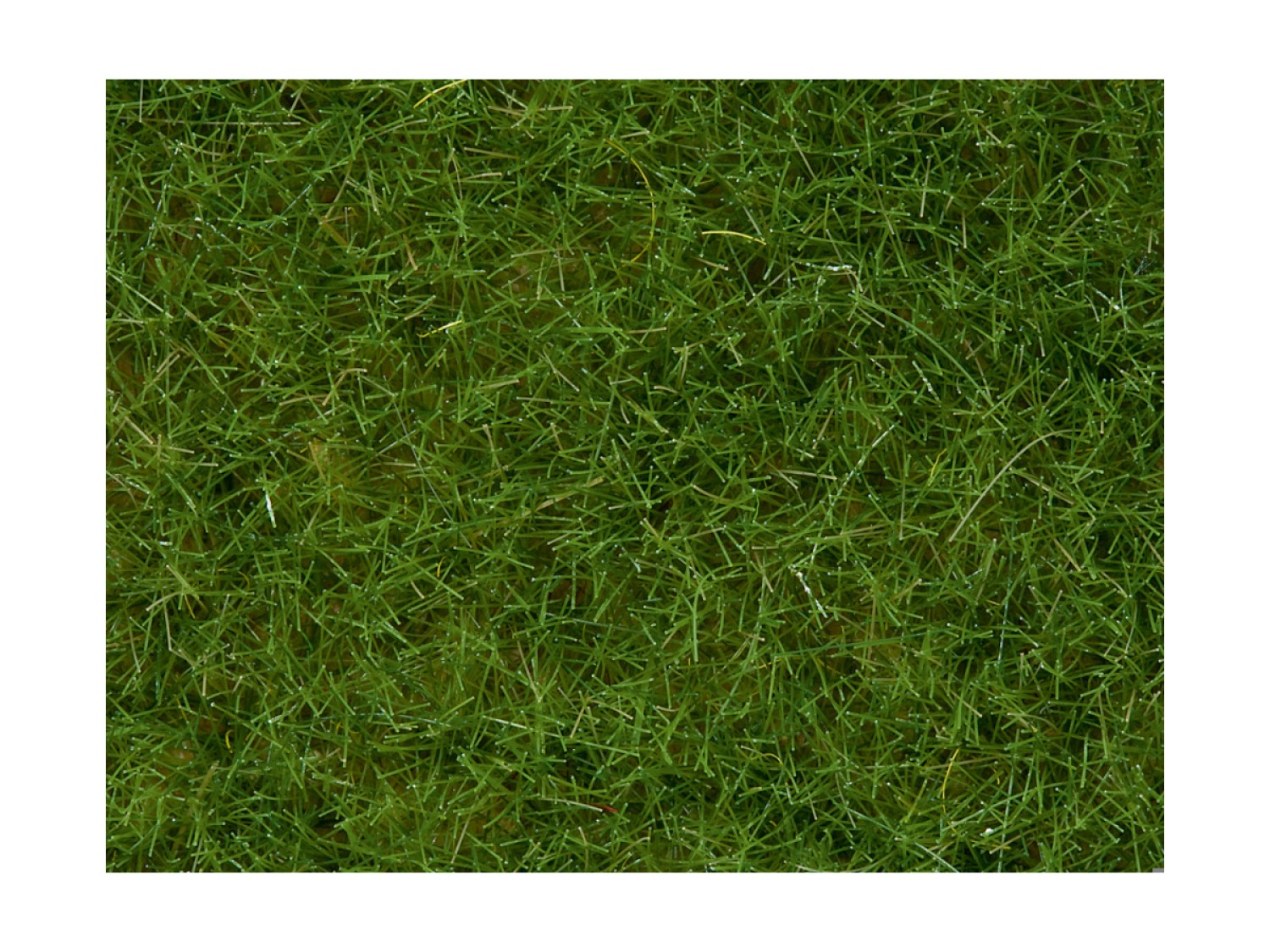 NOCH 07102 Wildgras, hellgrün, 6 mm, 50g Beutel 