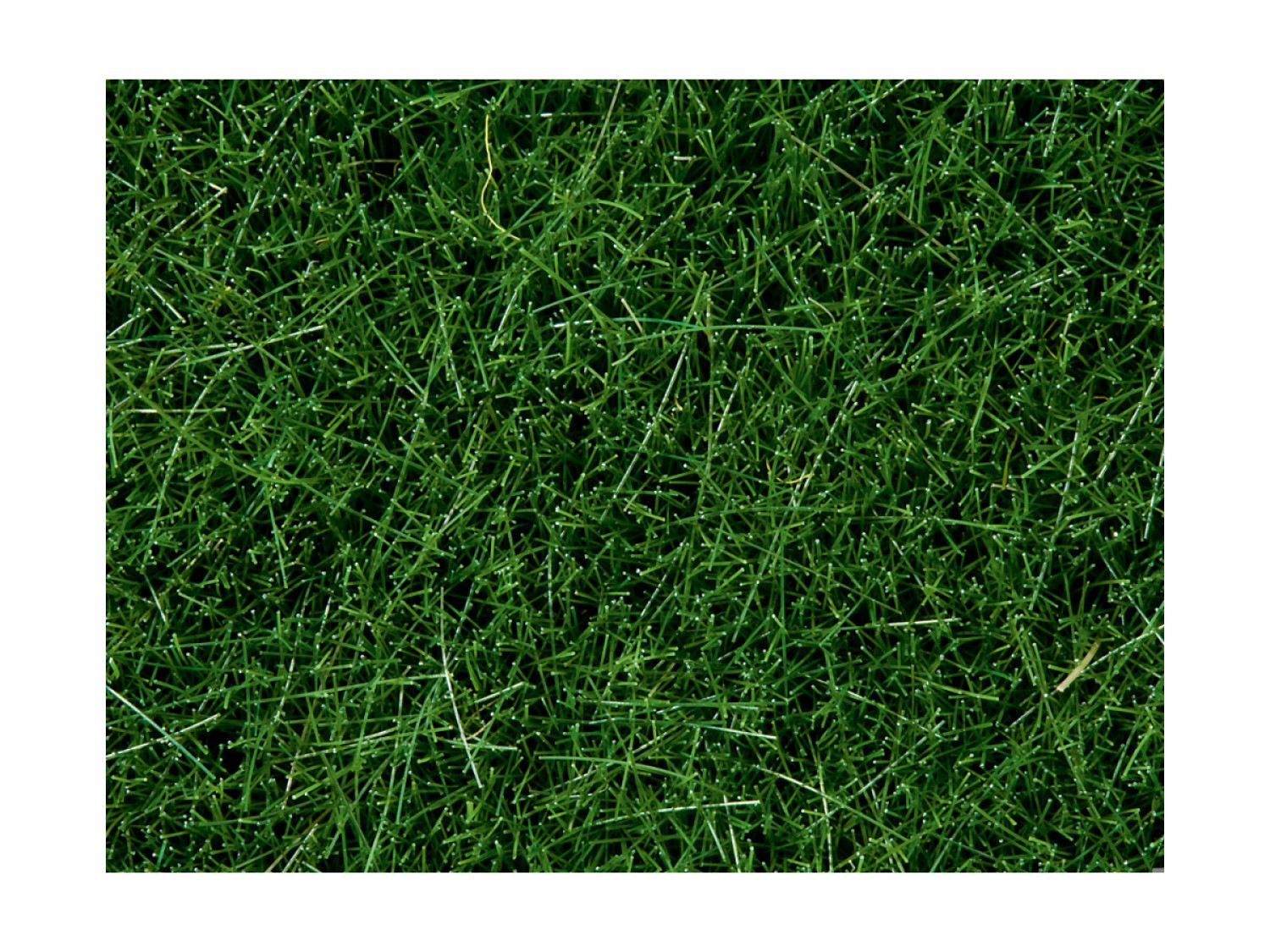 NOCH 07106 Wildgras, dunkelgrün, 6 mm, 50g Beutel 