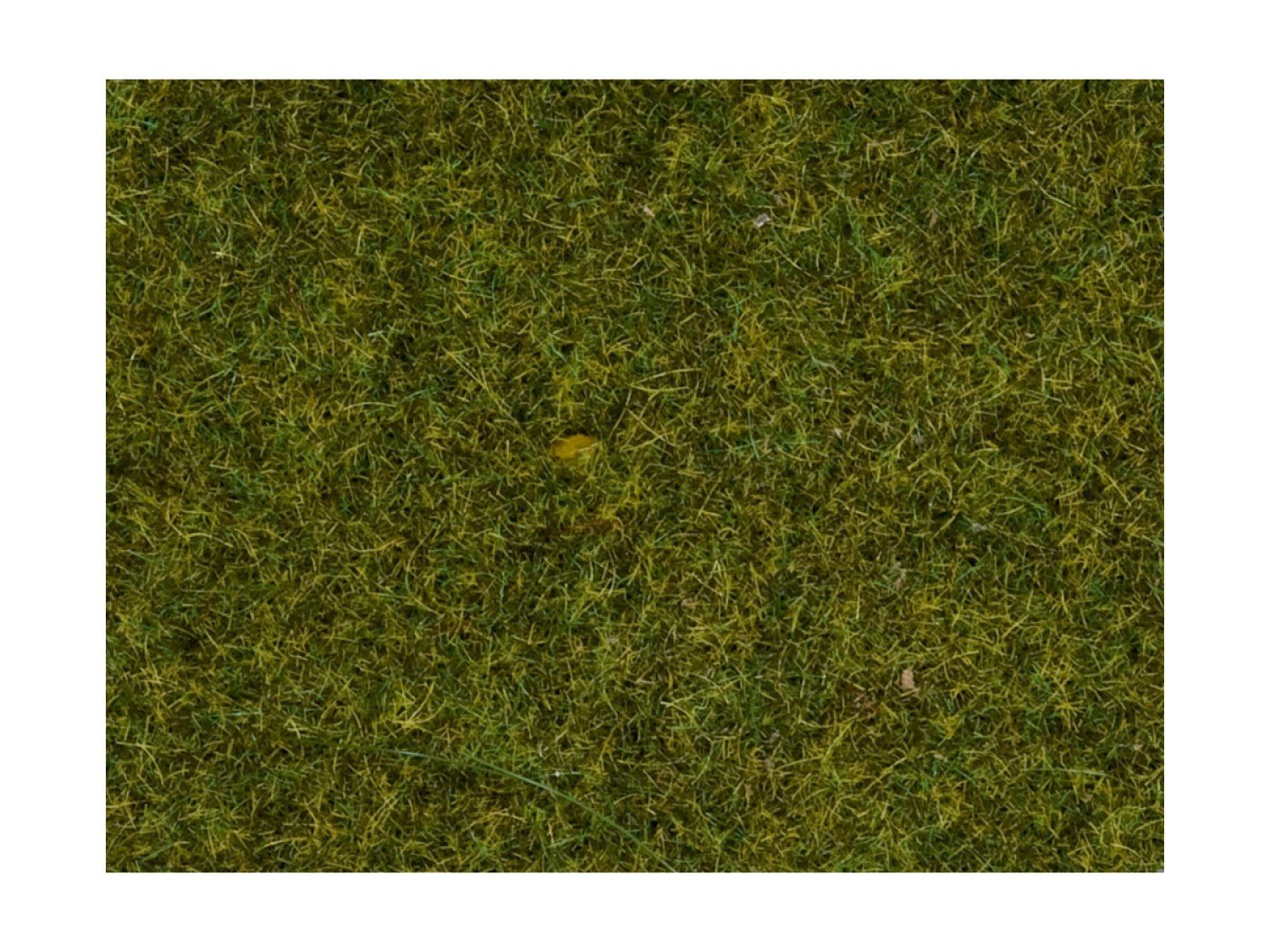 NOCH 08212 Streugras Wiese, 1,5 mm, 20g Beutel 