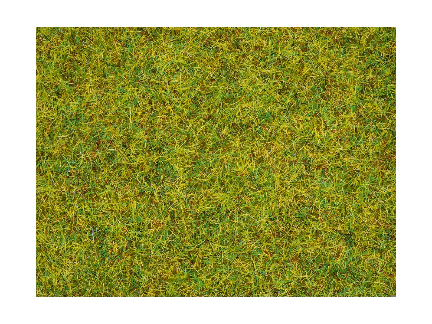 NOCH 08310 Streugras Sommerwiese, 2,5 mm, 20g Beutel 