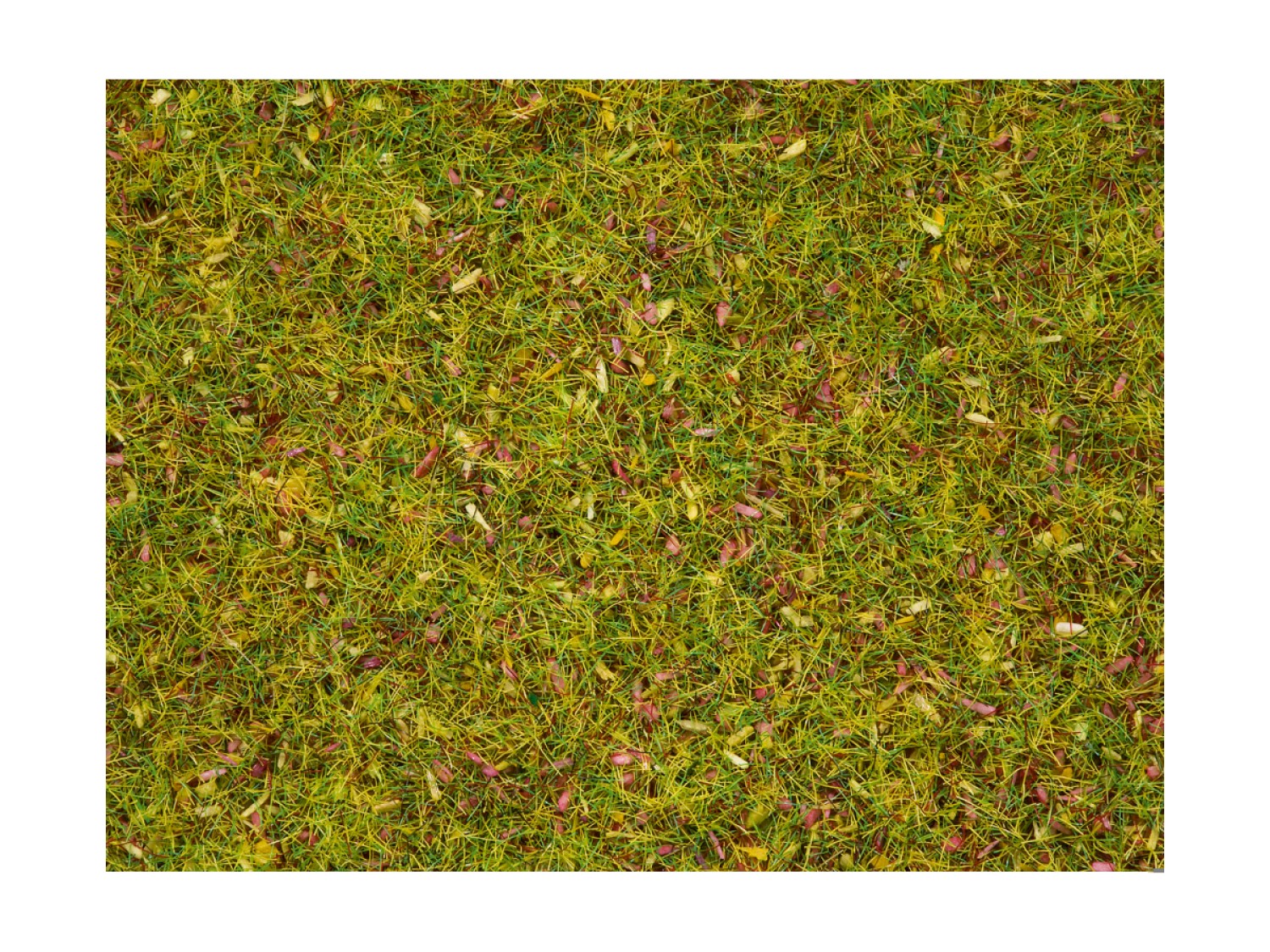 NOCH 08330 Streugras Blumenwiese, 2,5 mm, 20g Beutel 