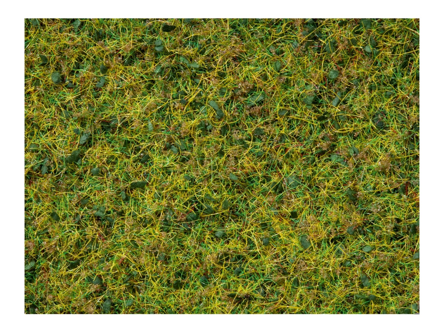 NOCH 07073 Master-Grasmischung Kuhweide, 2,5 bis 6 mm , 50g Beutel