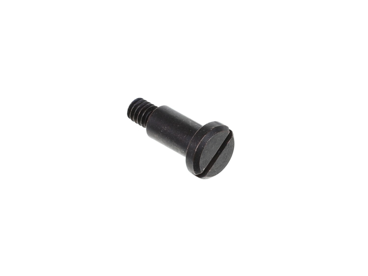 Roco 85669 GF-Ansatzschraube M2x5x3 mm Modelleisenbahn