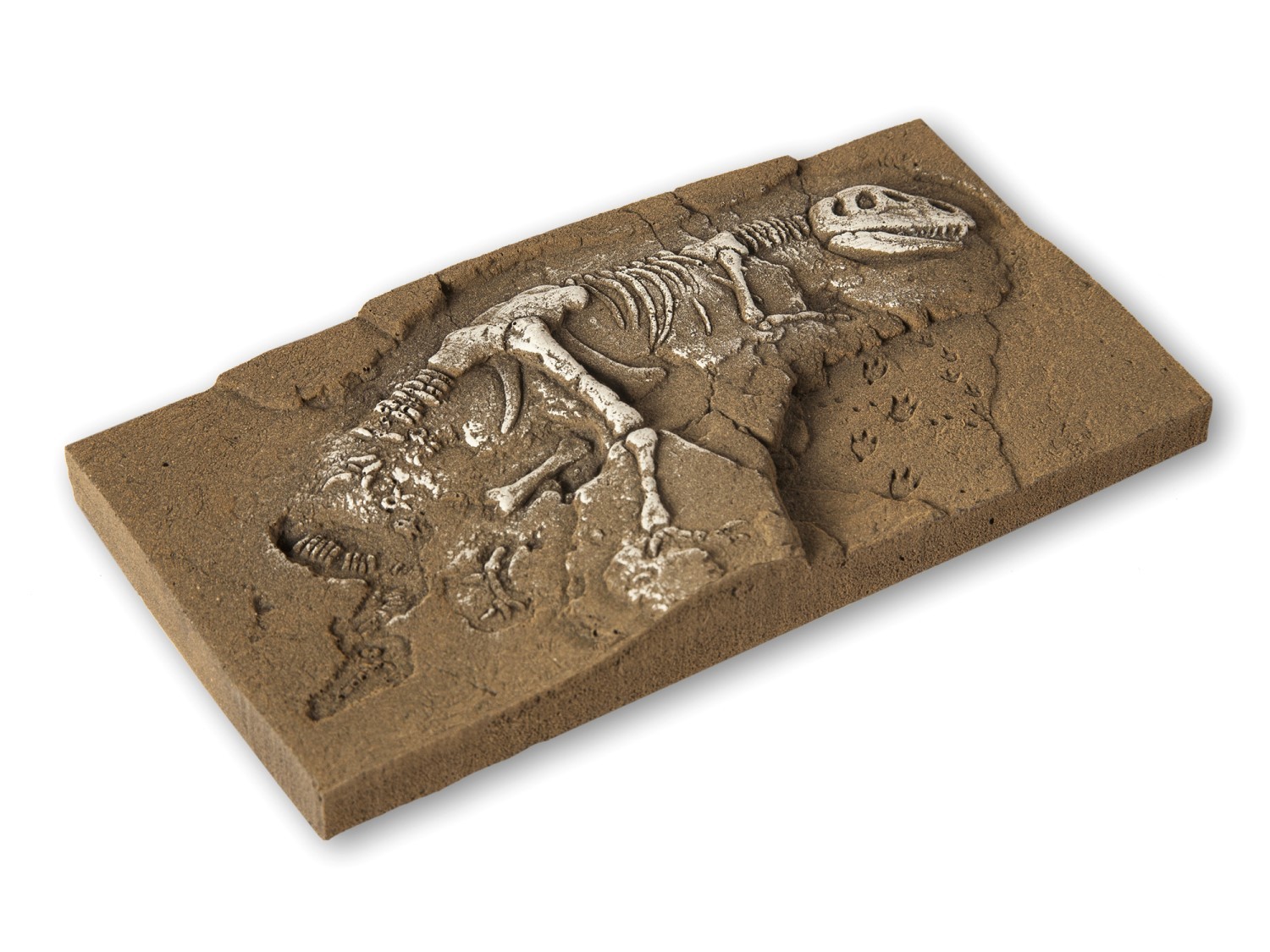 NOCH 58614 H0/TT/N Dinosaurier T-Rex Ausgrabung 