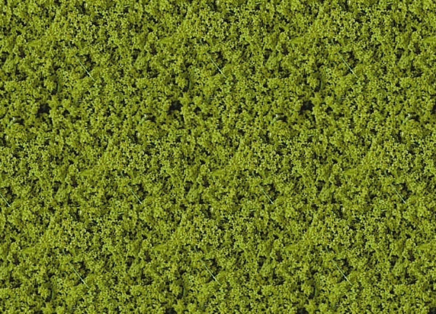 Heki 1550 HEKI flor Belaubungsvlies hellgrün 28x14 cm 