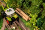 FALLER 180986 H0 16 Baumstämme 