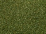 NOCH 08364 Streugras mittelgrün, 4 mm, 20g Beutel 