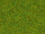 NOCH 50210 Streugras Frühlingswiese 2,5 mm, 100g Beutel 