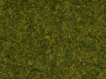 NOCH 50220 Streugras Wiese 2,5 mm, 100g Beutel 