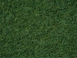NOCH 50200 Streugras Moorboden 2,5 mm, 100g Beutel 