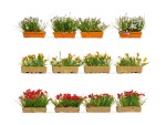 NOCH 14009 H0 Blumenkästen blühend rot, weiß und gelb 