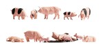 NOCH 15712 H0 Schweine 
