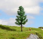 NOCH 20195 Hochstammfichte, 14 cm hoch (Master-Serie) 