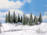 NOCH 24680 H0/TT Schneetannen 8 Stück, 10-14 cm hoch 