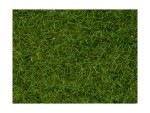 NOCH 07102 Wildgras, hellgrün, 6 mm, 50g Beutel 