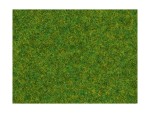 NOCH 08214 Streugras Zierrasen, 1,5 mm, 20g Beutel 