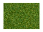 NOCH 08314 Streugras Zierrasen, 2,5 mm, 20g Beutel 
