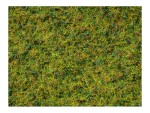 NOCH 07073 Master-Grasmischung Kuhweide, 2,5 bis 6 mm , 50g Beutel