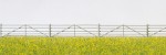 Preiser 17604 H0 Schafpferch, 20 Zaunelemente (Bausatz) 