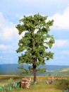NOCH 21780 H0/TT/N Linde, 18,5 cm hoch 
