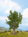 NOCH 25860 H0/TT/N Eiche, 15 cm hoch 