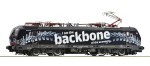 Roco 70315 H0 E-Lok 193 318-3, DB AG Backbone 